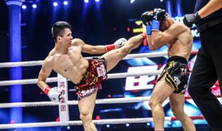 中国散打vs泰拳 中国散打vs泰拳