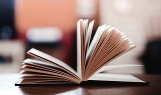 乌龙小子动画片全集 乌龙小子动画片全集